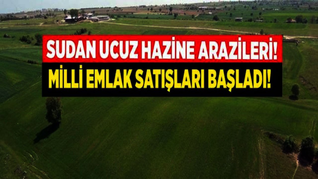 Milli Emlak 1 gram altın fiyatına herkesi tapu sahibi yapıyor! O illerde arsa satışı başladı