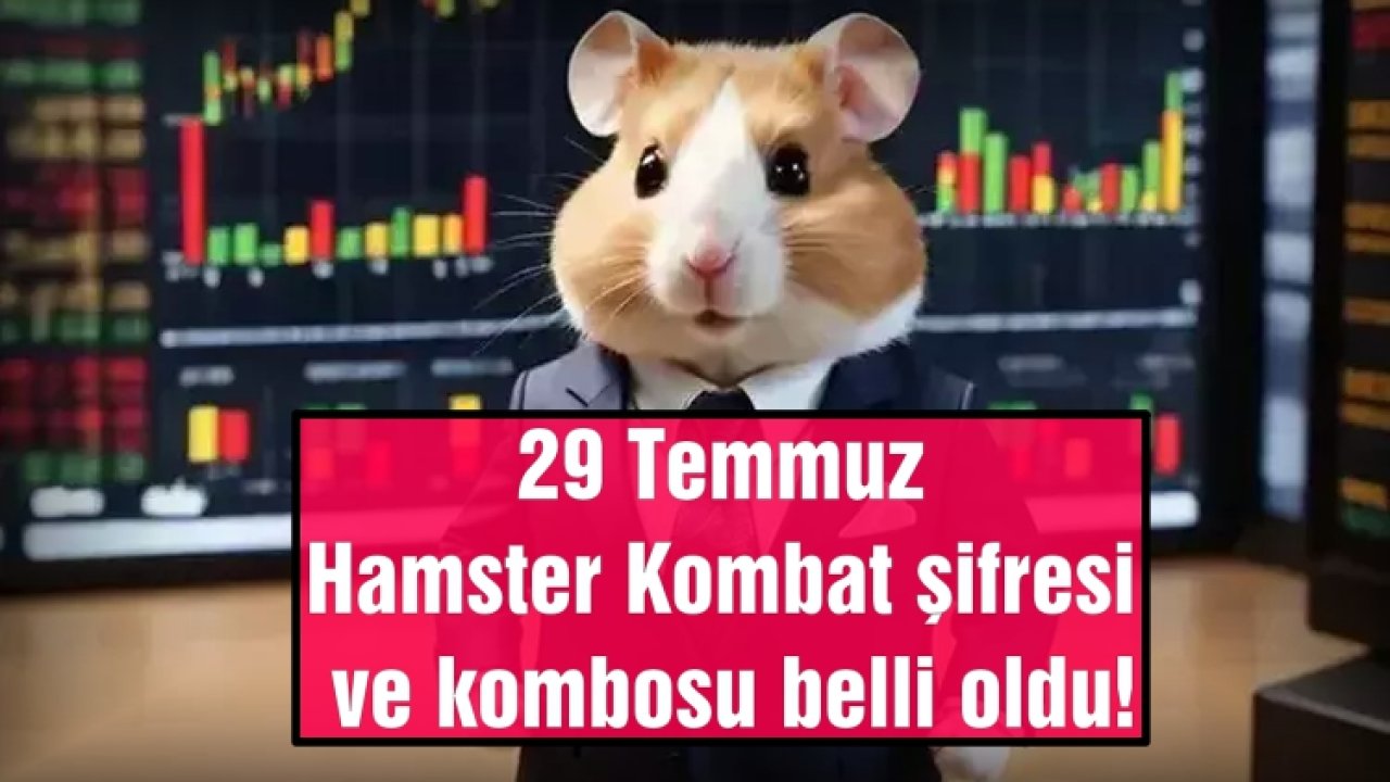 Hamster Kombat 29 Temmuz 2024 Günlük Şifresi ve Özel Kartları Açıklandı!