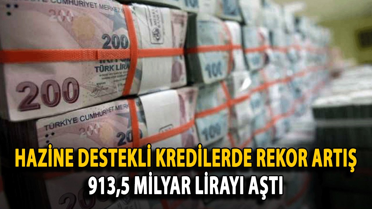 Hazine Destekli Kredilerde Rekor Artış: 913,5 Milyar Lirayı Aştı